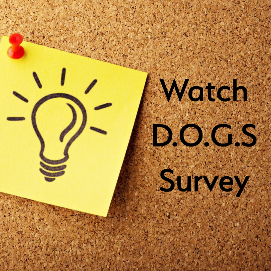 Watch Dogs Survey 